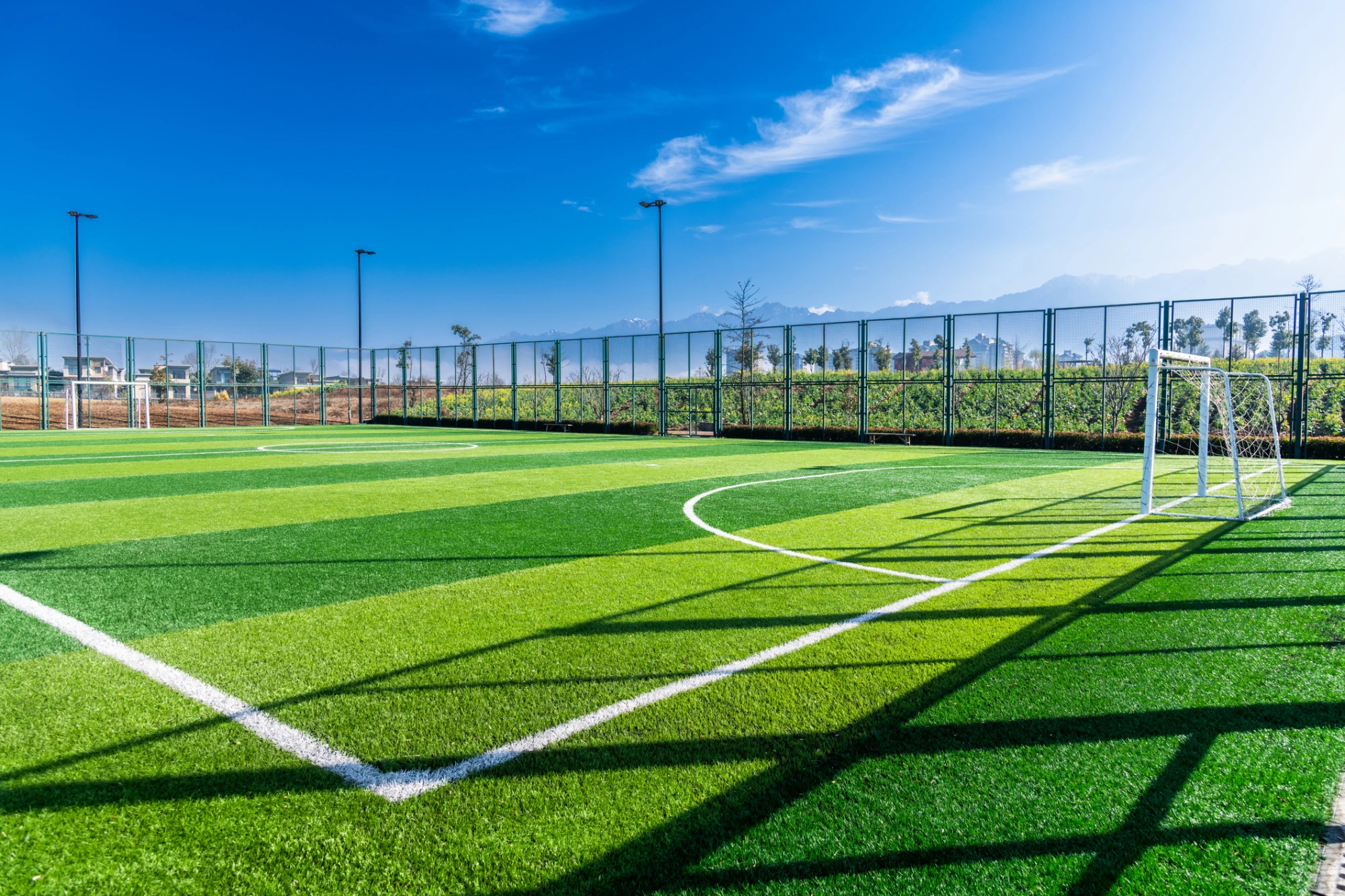 Shaw: Unparalleled Safety & Field Testing Standards